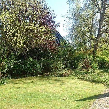 Sonniges Haeuschen Mit Garten براونشفايغ المظهر الخارجي الصورة