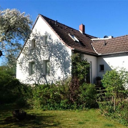 Sonniges Haeuschen Mit Garten براونشفايغ المظهر الخارجي الصورة