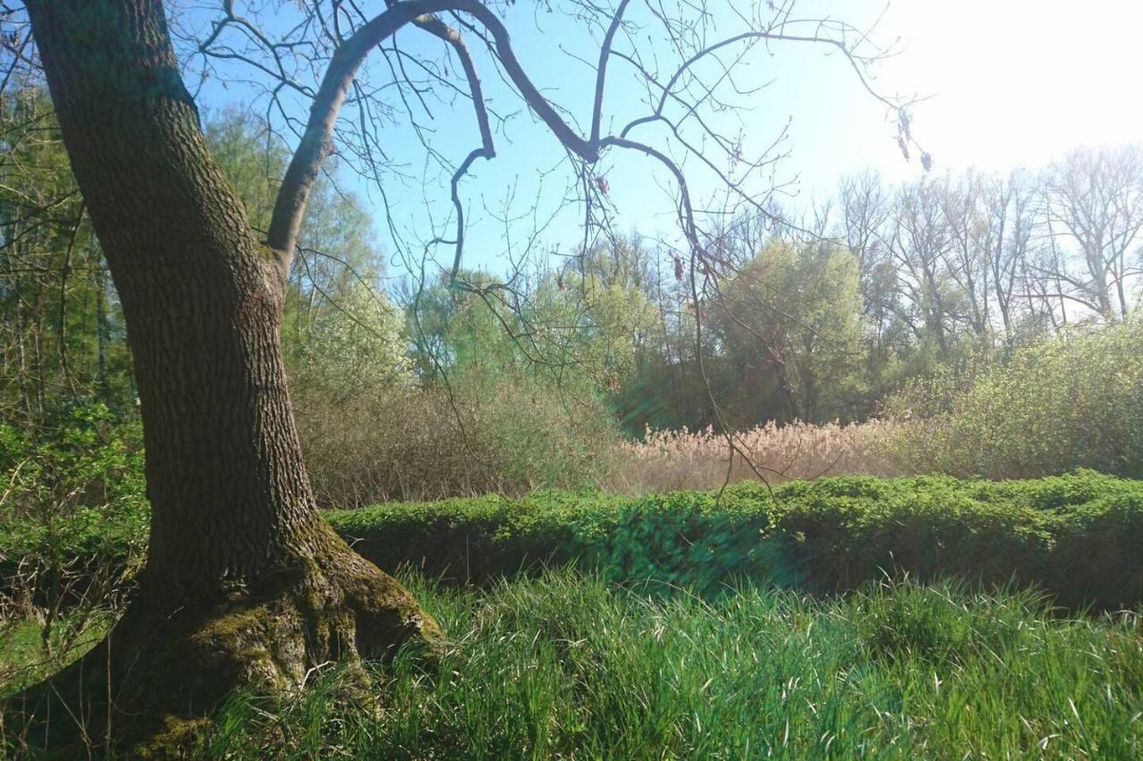 Sonniges Haeuschen Mit Garten براونشفايغ المظهر الخارجي الصورة